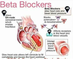 beta blocker for hypertension and angina